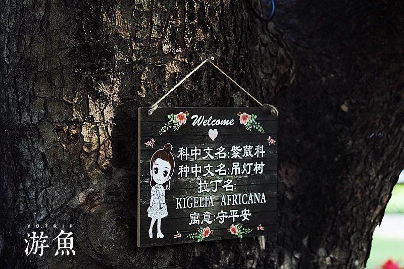家书载乡愁 三诺生物联合亚文传媒打造新年温情活动