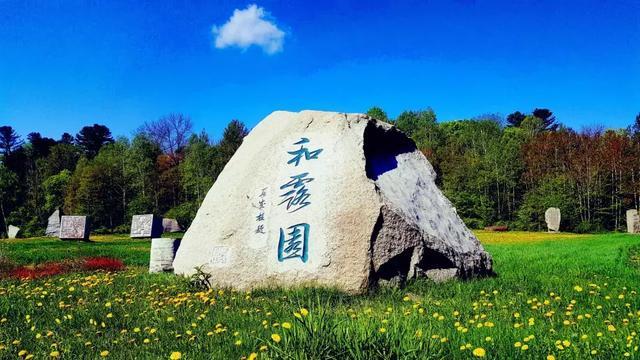 如何评价蔡忆凡的音乐水平？